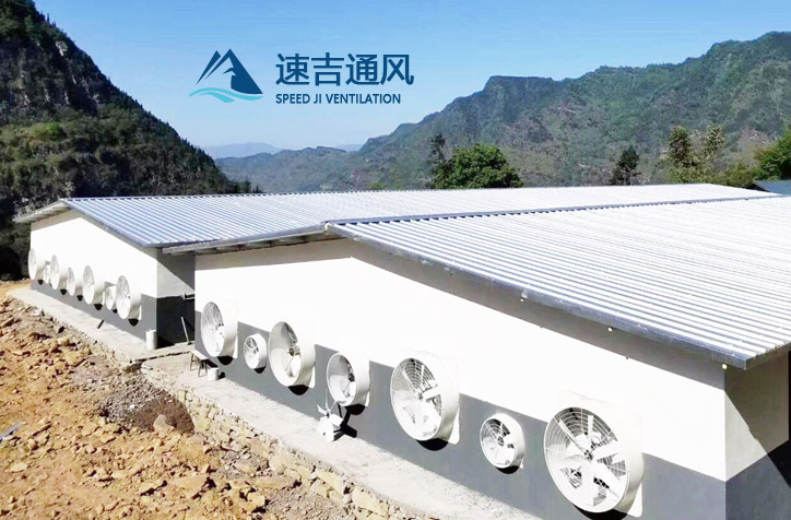 降溫水簾風(fēng)機設(shè)計安裝高度標準和豬場濕簾安裝運用8個誤解