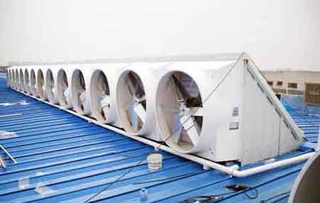 溫州防爆玻璃鋼屋頂風(fēng)機 溫州防爆玻璃鋼屋頂風(fēng)機