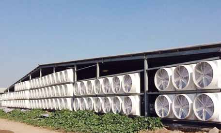 丹陽負壓風機廠家介紹 丹陽負壓風機廠家介紹