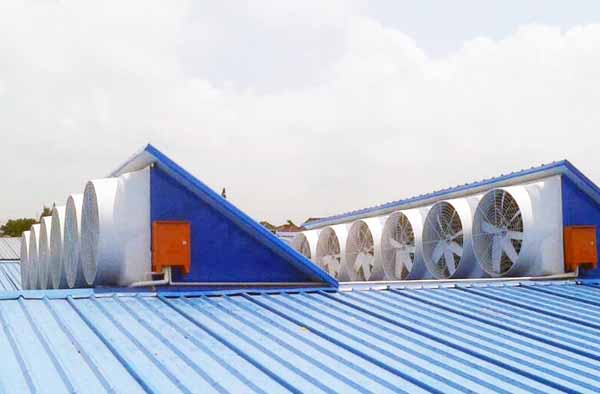 車間屋頂吸風機 車間屋頂吸風機